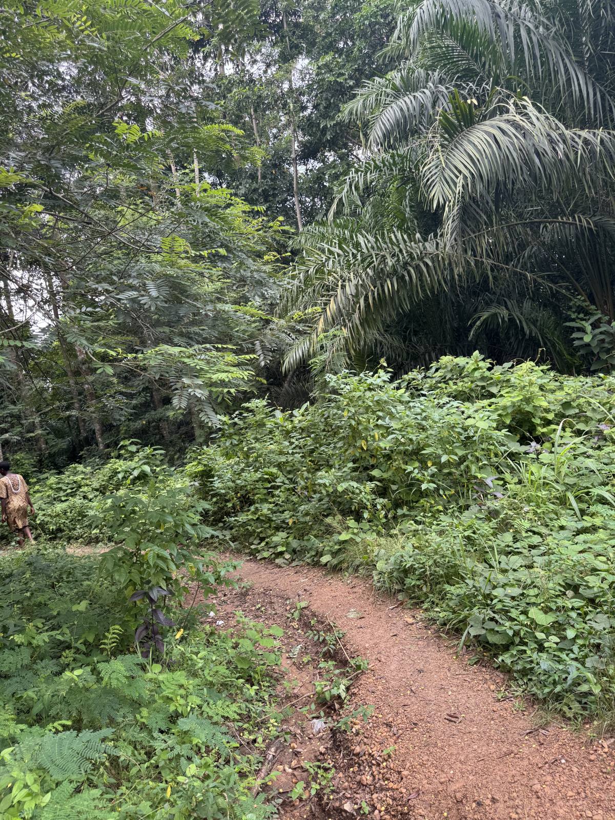 Rivière Lo-me (Lomèmé)